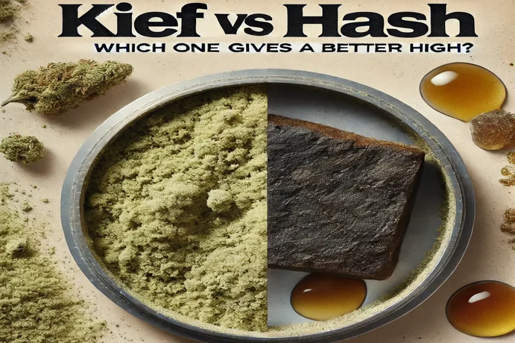 Kief vs Hash Which One Gives a Better High