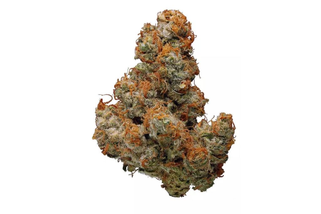 Looking for a potent, flavour-packed strain? Monster Glue delivers euphoria & relaxation. Buy Monster Glue strain now at MMJ for fast delivery!