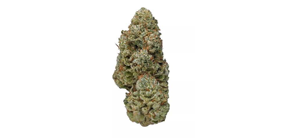 Monster Glue strain is an extremely heavily aromatic hybrid worth choosing when you buy weed online in Canada. 