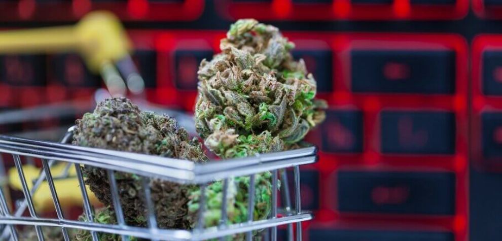 Do you want to buy pot online in Canada but not sure about some of the options, you can begin with.  Here are several options for you! 