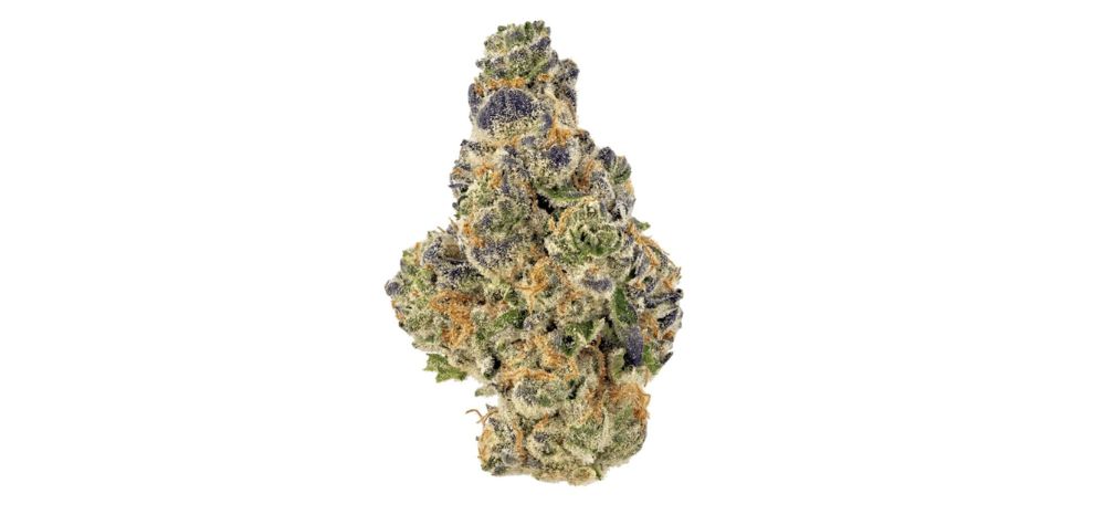 Granddaddy Purple, or GDP, is a heavy indica dominant strain packed with timeless full-body effects and flavours that keep you begging for more. 