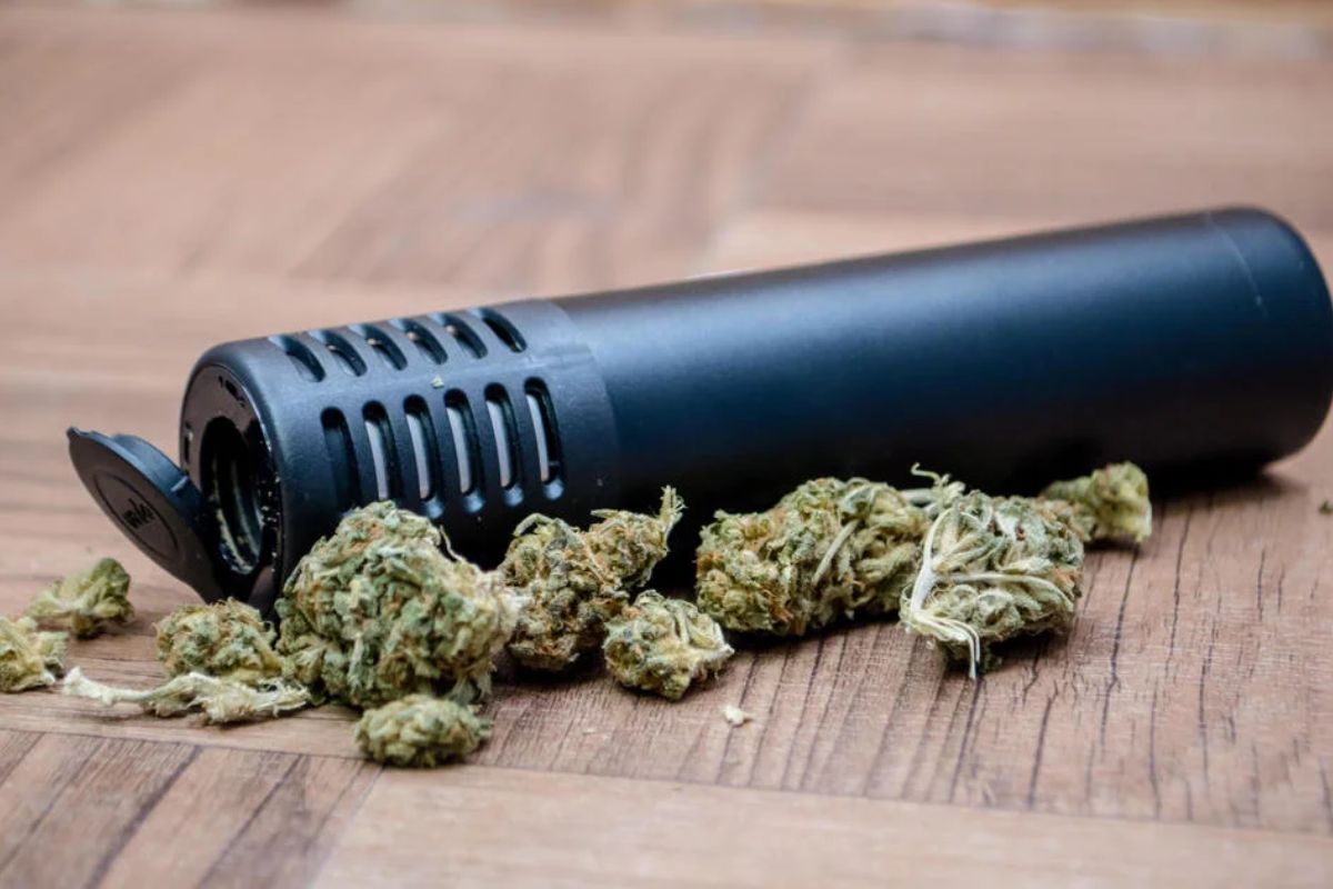 Weed vape is a compact vaping device designed to give you intense cannabis hits on the go. Planning to get one in the near future? Things to know.