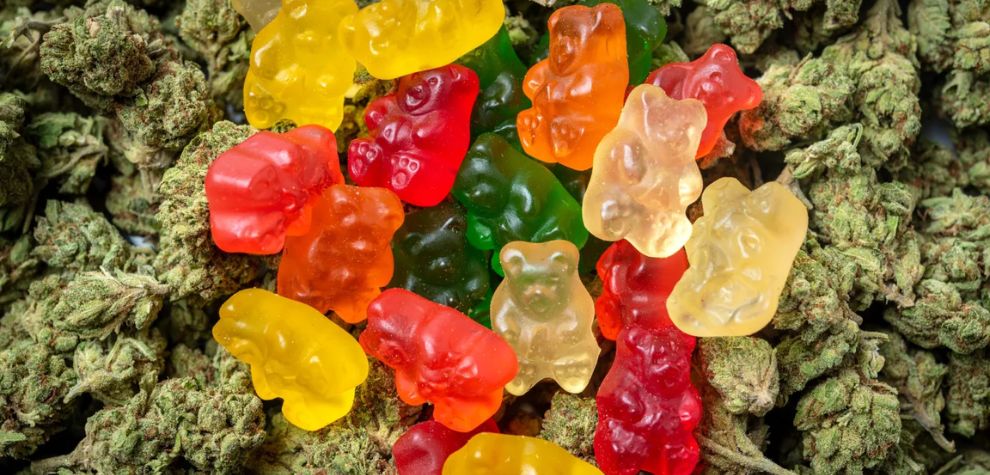 Weed gummies refer to sweet treats infused with cannabis oil containing THC and CBD, among other cannabinoids. 