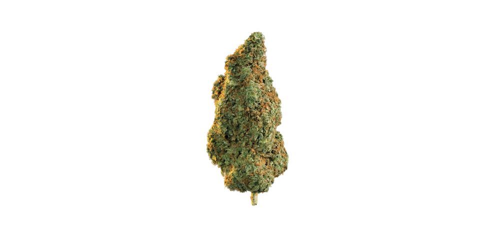 The Blueberry Dream cannabis strain is a potent bud that is impressing both enthusiasts and beginners alike with its impressive effects and flavour profile. 