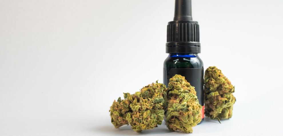 One of the best things about MMJ Express, Canada's best online pot store, is the variety you'll find. We've asked our customers, and here are just some of the highest-rated products worth the hype you'll want to try right now!