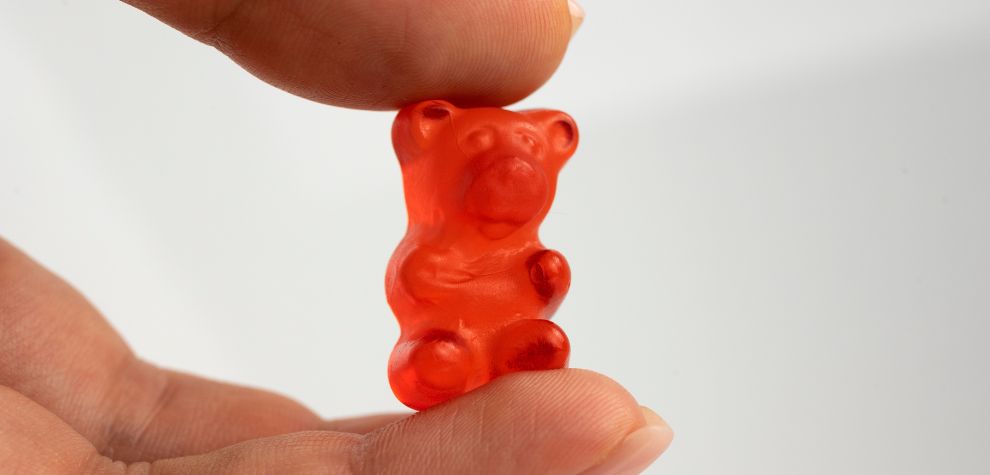 As said earlier, it is easy to buy cannabis gummy bears online in Canada if you understand how to go about the whole process. 