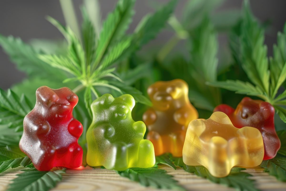 Cannabis gummy bears are not your typical edibles; these are flavourful & psychoactive delicacies. Learn more about this here.