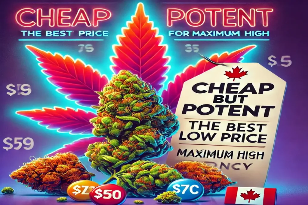 Cheap but Potent The Best Low Price Bud Strains for Maximum High