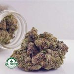 Buy Cannabis Grape Bubble Gum AAAA at MMJ Express Online Shop