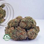 Buy Cannabis Kali Mist AAA at MMJ Express Online Shop