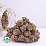 Buy Cannabis Animal Mintz AAAA (Popcorn Nugs) at MMJ Express Online Shop