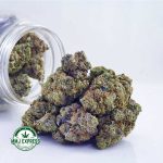 Buy Cannabis Death Bubba AAA at MMJ Express Online Shop