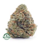 Buy Cannabis Girl Scout Cookies AAA at MMJ Express Online Shop