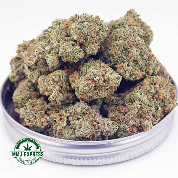 Buy Cannabis Girl Scout Cookies AAA at MMJ Express Online Shop