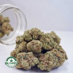 Buy Cannabis Girl Scout Cookies AAA at MMJ Express Online Shop