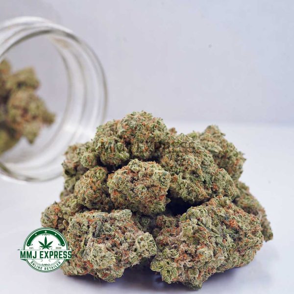 Buy Cannabis Girl Scout Cookies AAA at MMJ Express Online Shop