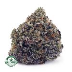 Buy Cannabis Mike Tyson Craft, AAAA+ at MMJ Express Online Shop