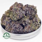 Buy Cannabis Mike Tyson Craft, AAAA+ at MMJ Express Online Shop