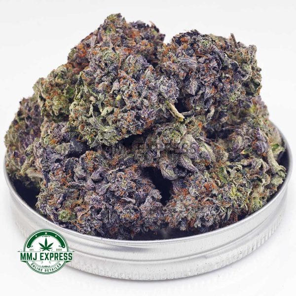 Buy Cannabis Mike Tyson Craft, AAAA+ at MMJ Express Online Shop