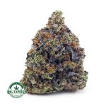 Buy Cannabis Pink Gas Mask AAAA+, Craft at MMJ Express Online Shop