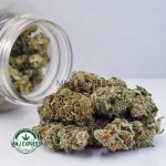 Buy Cannabis Cherry Pie AAA at MMJ Express Online Shop
