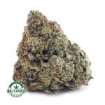 Buy Cannabis White Skunk AAA at MMJ Express Online Shop