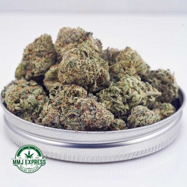 Buy Cannabis White Skunk AAA at MMJ Express Online Shop
