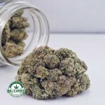 Buy Cannabis White Skunk AAA at MMJ Express Online Shop