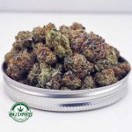 Buy Cannabis Purple Gasoline AAAA (Popcorn Nugs) at MMJ Express Online Shop