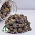 Buy Cannabis Purple Gasoline AAAA (Popcorn Nugs) at MMJ Express Online Shop