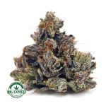 Buy Cannabis OG Octane AAAA+, Craft at MMJ Express Online Shop