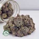 Buy Cannabis OG Octane AAAA+, Craft at MMJ Express Online Shop