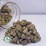 Buy Cannabis Strawberry Bomb AAAA (Popcorn Nugs) at MMJ Express Online Shop