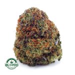 Buy Cannabis AK-47 AA at MMJ Express Online Shop