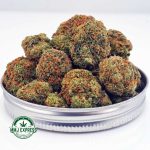 Buy Cannabis AK-47 AA at MMJ Express Online Shop