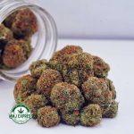 Buy Cannabis AK-47 AA at MMJ Express Online Shop