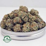Buy Cannabis White Tahoe Cookies AAAA (Popcorn Nugs) MMJ Express Online Shop
