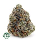 Buy Cannabis Birthday Cake Kush AAA at MMJ Express Online Shop
