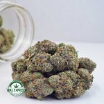 Buy Cannabis Birthday Cake Kush AAA at MMJ Express Online Shop