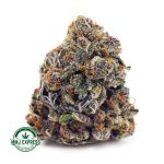 Buy Cannabis Granddaddy Purple AAAA at MMJ Express Online Shop