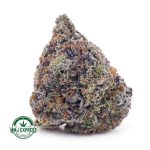 Buy Cannabis Pink Rob Ford AAAA+, Craft at MMJ Express Online Shop