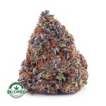 Buy Cannabis Purple Candy AAAA at MMJ Express Online Shop