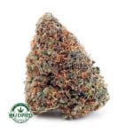 Buy Cannabis Astroboy AAA at MMJ Express Online Shop