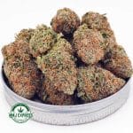 Buy Cannabis Astroboy AAA at MMJ Express Online Shop