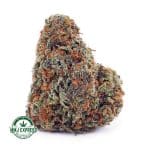 Buy Cannabis Purple Haze AAA at MMJ Express Online Shop