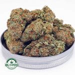 Buy Cannabis Purple Haze AAA at MMJ Express Online Shop