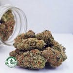Buy Cannabis Purple Haze AAA at MMJ Express Online Shop