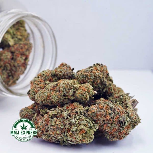 Buy Cannabis Purple Haze AAA at MMJ Express Online Shop