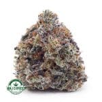 Buy Cannabis Super Silver Haze AAA at MMJ Express Online Shop