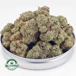 Buy Cannabis Supreme Khalifa Mintz AAAA+, Craft at MMJ Express Online Shop